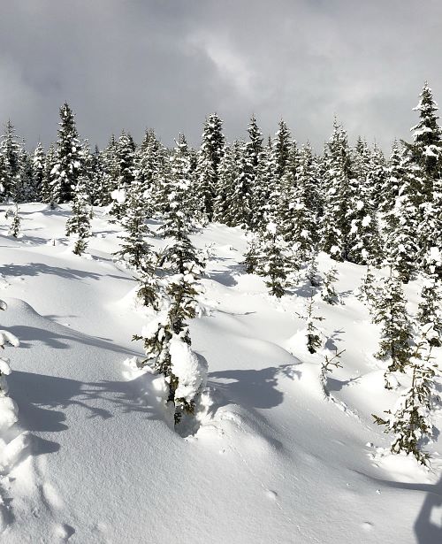 Winter-TVB-Maishofen-Schnee-Landschaft