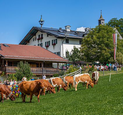 Almabtrieb und Hoffest des Kammererbauern